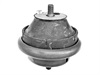 <b>GENERAL MOTORS:</b> 0684275<br/>